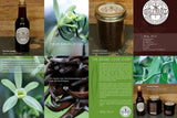Vaoala Vanilla products in a brochure