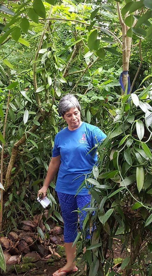 A Walk Through Vaoala Vanilla - Tips from Shelley